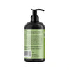 Mielle® Rosemary Mint Strengthening Shampoo 12 fl. oz. bottle back